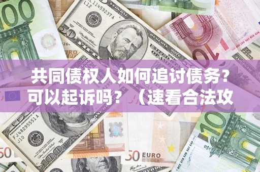 济南共同债权人如何追讨债务？可以起诉吗？（速看合法攻略）